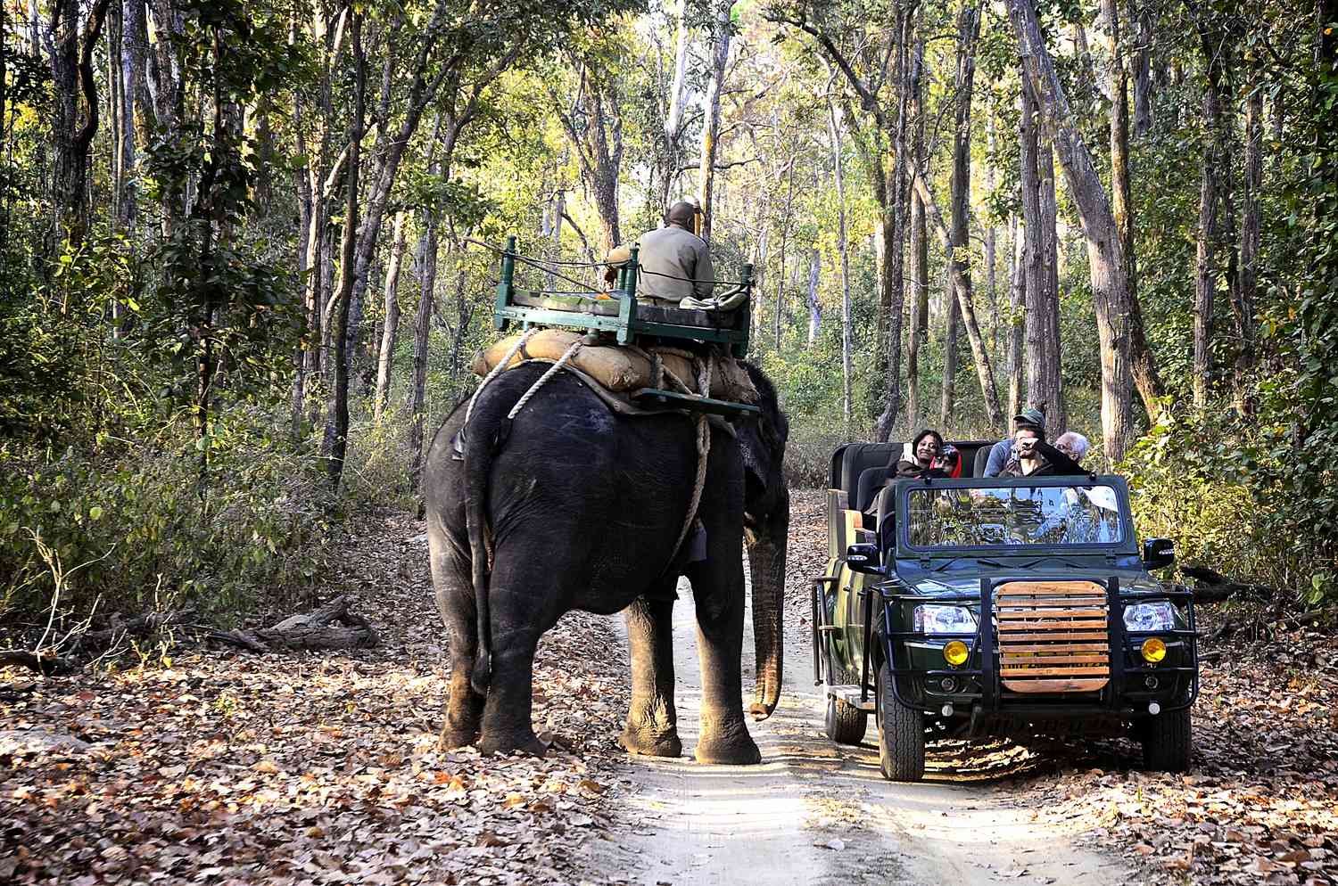 KANHA